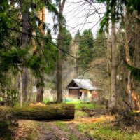 Домик в лесу :: Максим Рябинин