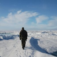 Охраняя бескрайние льды :: Tatiana Belyatskaya