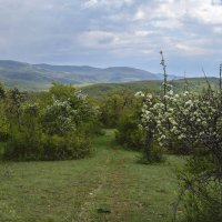 Перевал Бечку :: Zinaida Belaniuk