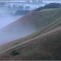 туман :: galina bronnikova 