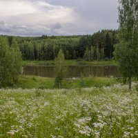 На лесном озере :: Лариса Березуцкая