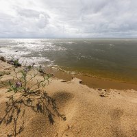 На берегу в песке :: Владимир Самсонов
