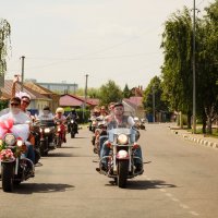 Байкерская свадьба Владимира и Татьяны :: Инна Голубицкая