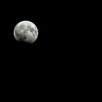 Лунное затмение 07.08.2017 :: Андрей Липов