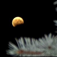Лунное затмение ! :: Надежда 