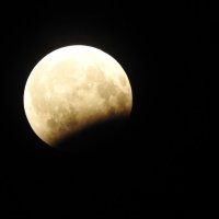 Затмение луны :: Елена Ваулина