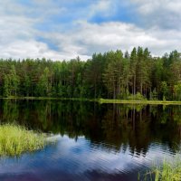 Лесное озеро :: Руслан Веселов