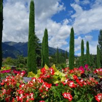 Удивительной красоты сады замка Трауттмансдорф...(Италия) :: Galina Dzubina