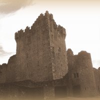 Замок Росс, Ирландия :: Марина Домосилецкая