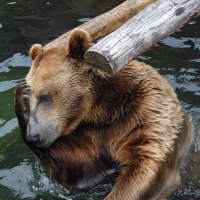 В нашей жизни всякое бывает... :: Надя Кушнир