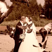 Какая свадьба без голубей :: Роман Дудкин