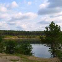 Лесное озеро в августе :: Вера Андреева