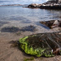 Malmön :: liudmila drake