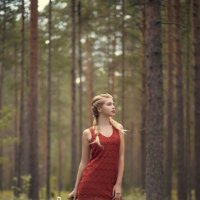 В лесу :: Женя Рыжов
