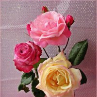 Акварельные розы :: Лидия (naum.lidiya)