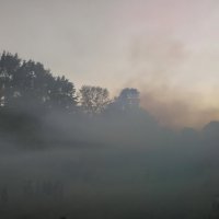 Битва в тумане :: veera v