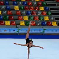 Фигурная гимнастика :: Андрей + Ирина Степановы