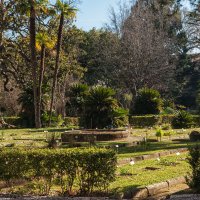 Ботанический сад Пизанского университета :: Надежда Лаптева