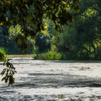 Рыбак и старинный пруд. :: Владимир Безбородов