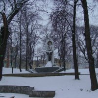 Зима   в   Ивано - Франковске :: Андрей  Васильевич Коляскин