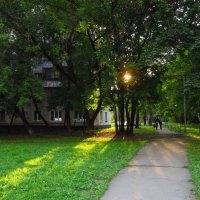 Скоро солнце будет только низким :: Андрей Лукьянов