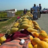 В ДОРОГЕ. :: Виктор Осипчук