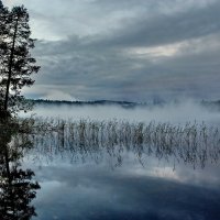 Карелия, река  Писта :: Валерий Толмачев