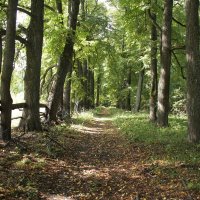 Осень :: Владимир Холодницкий