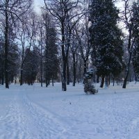 Зима  в   Ивано - Франковске :: Андрей  Васильевич Коляскин