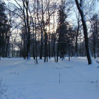 Зима  в   Ивано - Франковске :: Андрей  Васильевич Коляскин