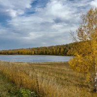 "Осень,вместе будем до зимы" :: Алексей Мезенцев