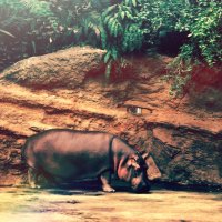 Германия, зоопарк! :: Натали Пам