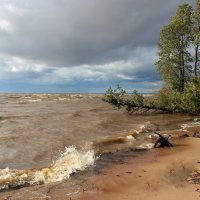 Несутся волны чередой. :: Галина .