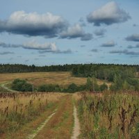 Среди осенних полей :: Александр Зиновьев