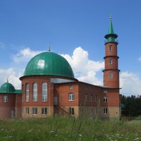 Новая мечеть :: Вера Щукина