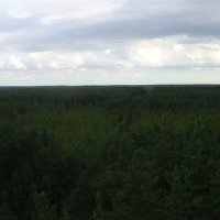 Зелёное море тайги... :: Виктор Мухин