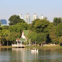 Бангкок, парк :: Сергей Смоляр