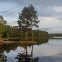 На озере Плисса... :: Галина Кучерина