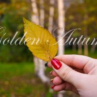 Золотая Осень :: Екатерина Гуща