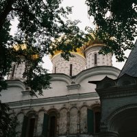 ипатьевский монастырь летом :: Димончик 