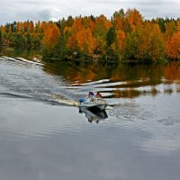 *** :: Анжела Пасечник