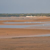 Осень на воде :: Николай Танаев