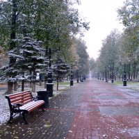 Первый снег :: Наталья Тагирова