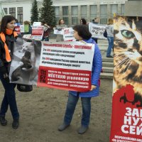 Северодвинск. Митинг в защиту животных (3) :: Владимир Шибинский