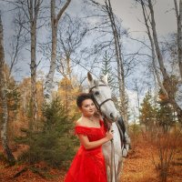 Lady in Red :: Андрей Пугачев