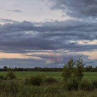 Летним вечером. :: Елена Струкова