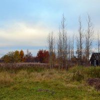 Осень в деревне :: Ольга 