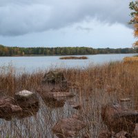 Утро в октябре :: liudmila drake