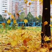 Листья жёлтые над городом кружатся! :: Татьяна Помогалова