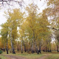 Осень :: раиса Орловская